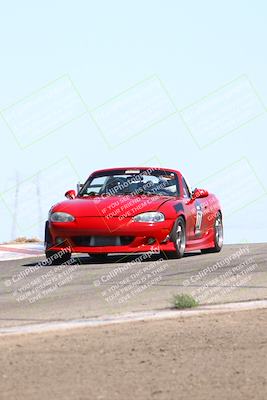 media/Jul-26-2025-Speed Ventures (Sat) [[fe569e6cf0]]/Yellow Group/Grapevine/